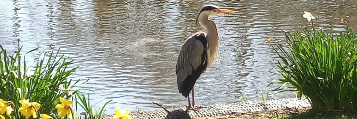 MrPatrickONeill's profile banner image