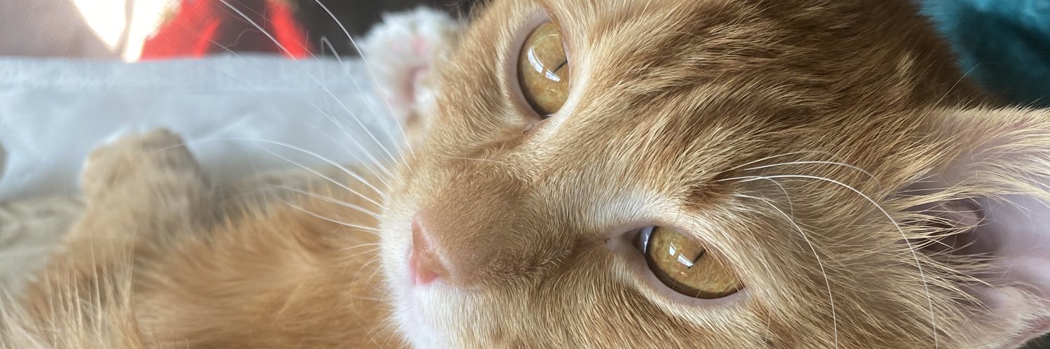 its_Ruben's profile banner image