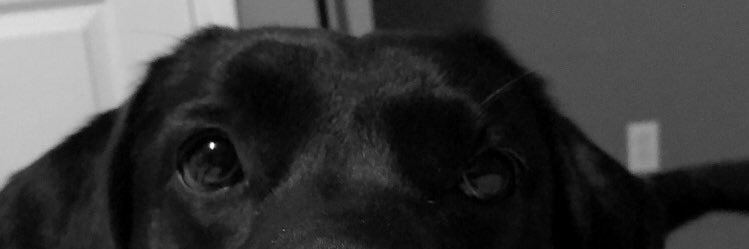 TylerRayCraps's profile banner image