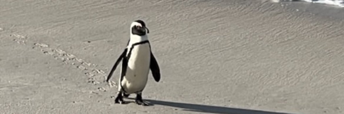 mireille affaa banner