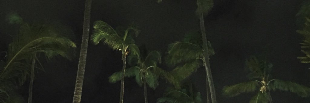 RGP23's profile banner image