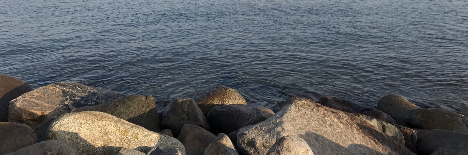MFALipperin's profile banner image