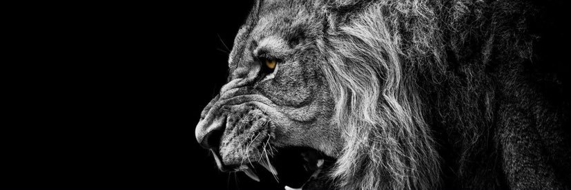 Coverton6's profile banner image