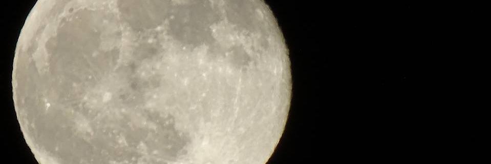MiisaMoon's profile banner image