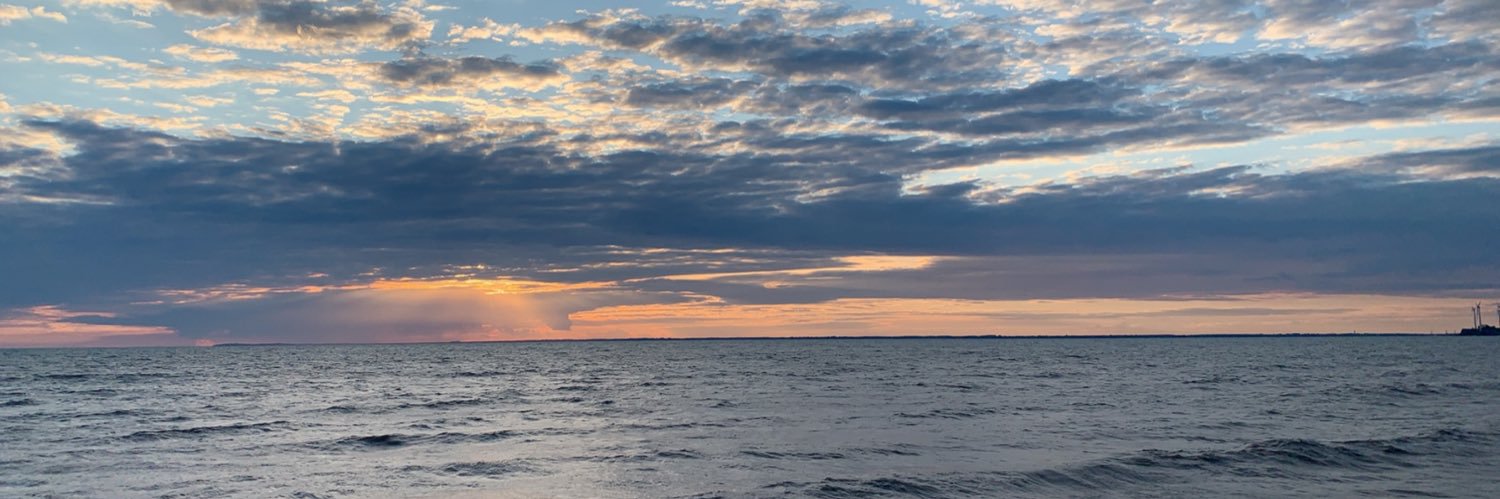 Ashley_Rogalski's profile banner image