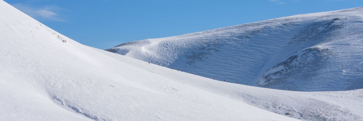 daniebker's profile banner image