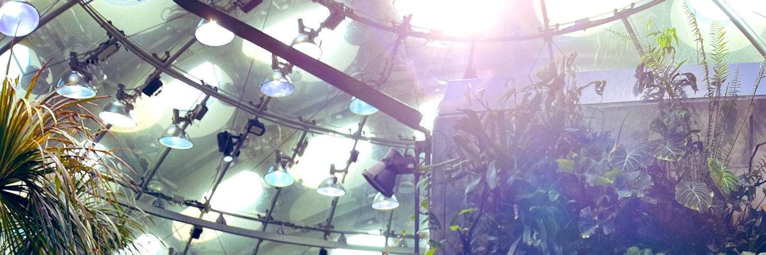 katiesigg's profile banner image
