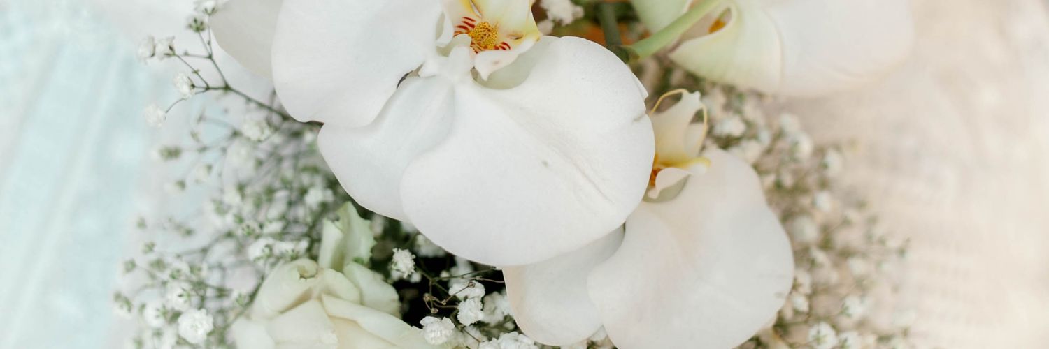 arika_winda's profile banner image