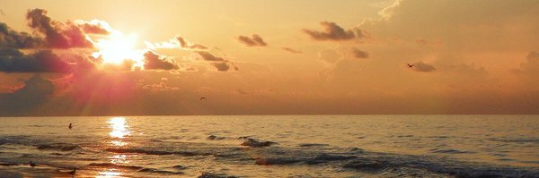 MelRossdeutcher Profile Banner