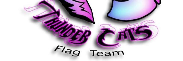 Thunder Cats PTY banner