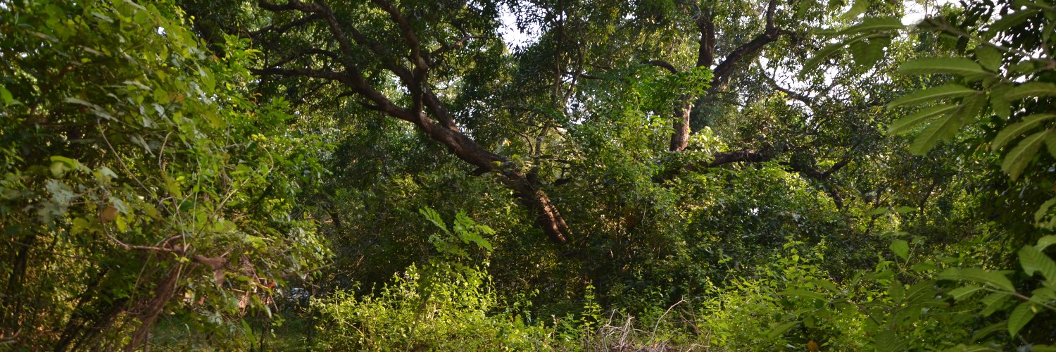 Adarsh E Devaraj banner