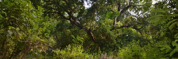 adarshdevaraj Profile Banner