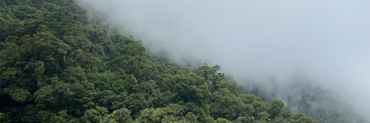 Challen Willemsen banner