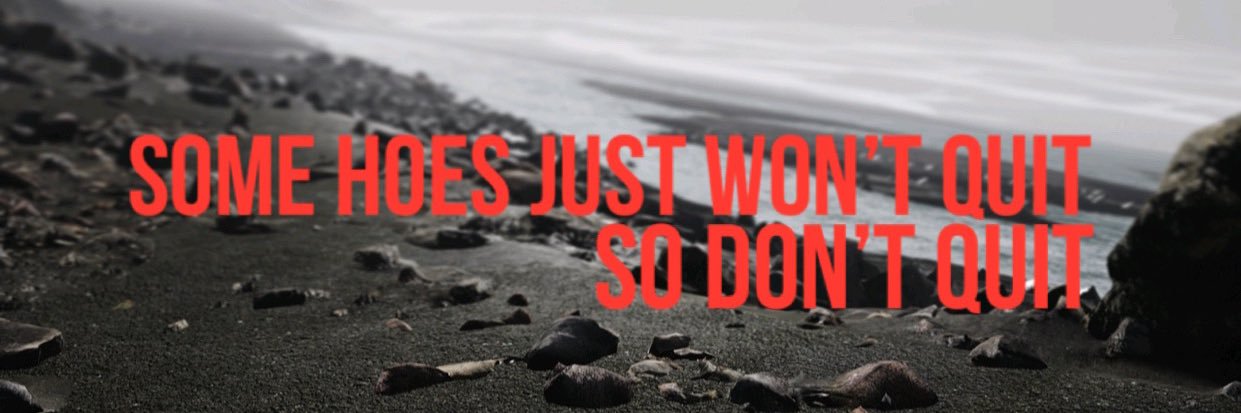 the NEW whale banner