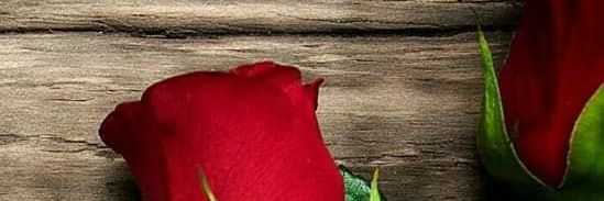 sofys8's profile banner image