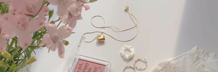 customemr's profile banner image