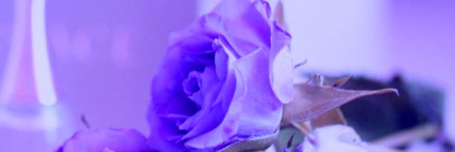 maaahmed68's profile banner image