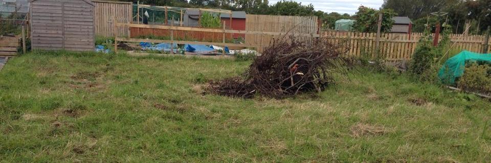 allotment85a's profile banner image