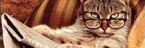 mirthacunag's profile banner image
