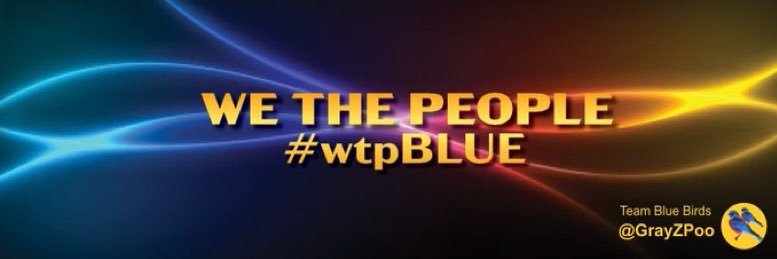 Jane Doe®️WeThePeople banner