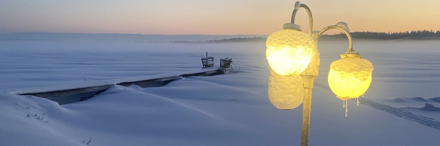 Joel Roos banner