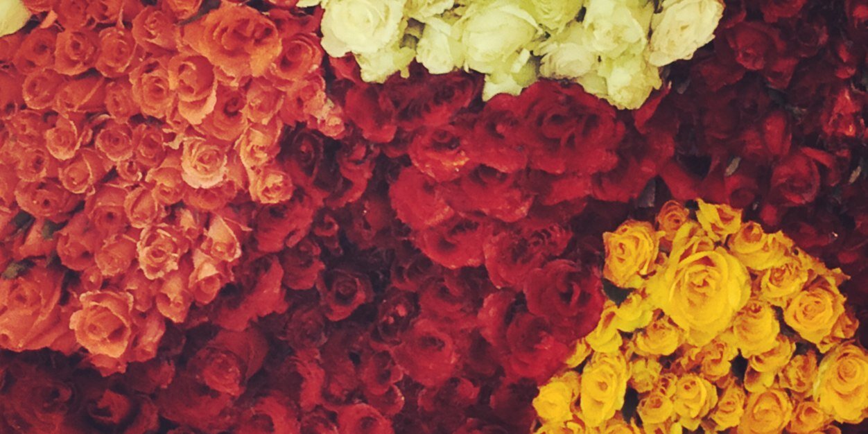 maye_montes's profile banner image