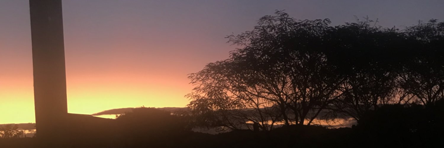 #BBMP 🐊🍀💻 banner