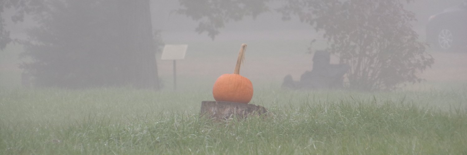 Caitlin Bittner banner