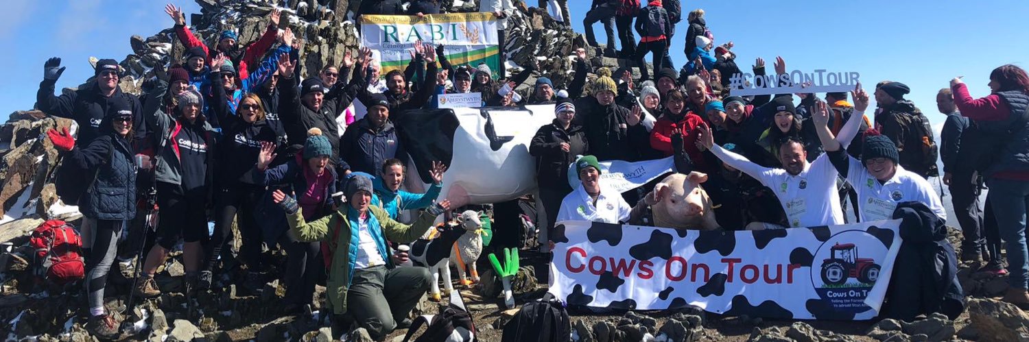 CowsOnTour banner