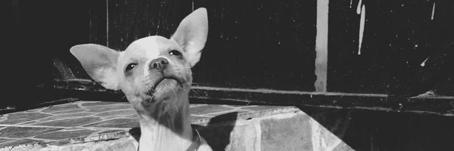 Xanat03's profile banner image