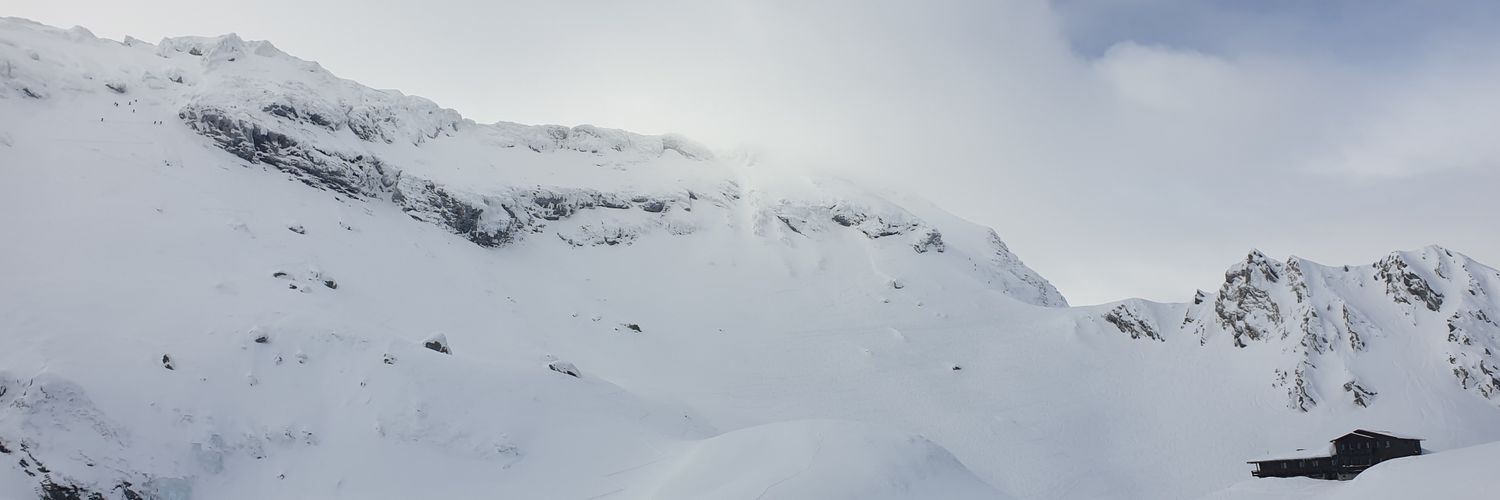 gillykitten's profile banner image