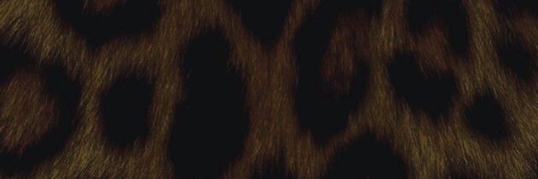 a1yiahxc's profile banner image