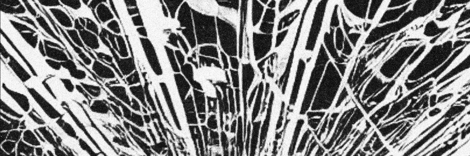 Glassplitter banner