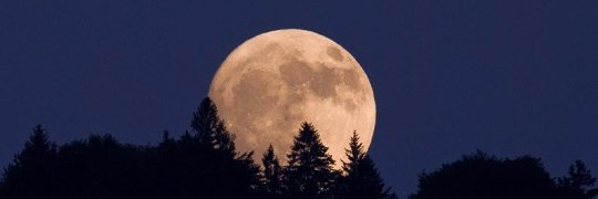 Mrs_Rmz's profile banner image