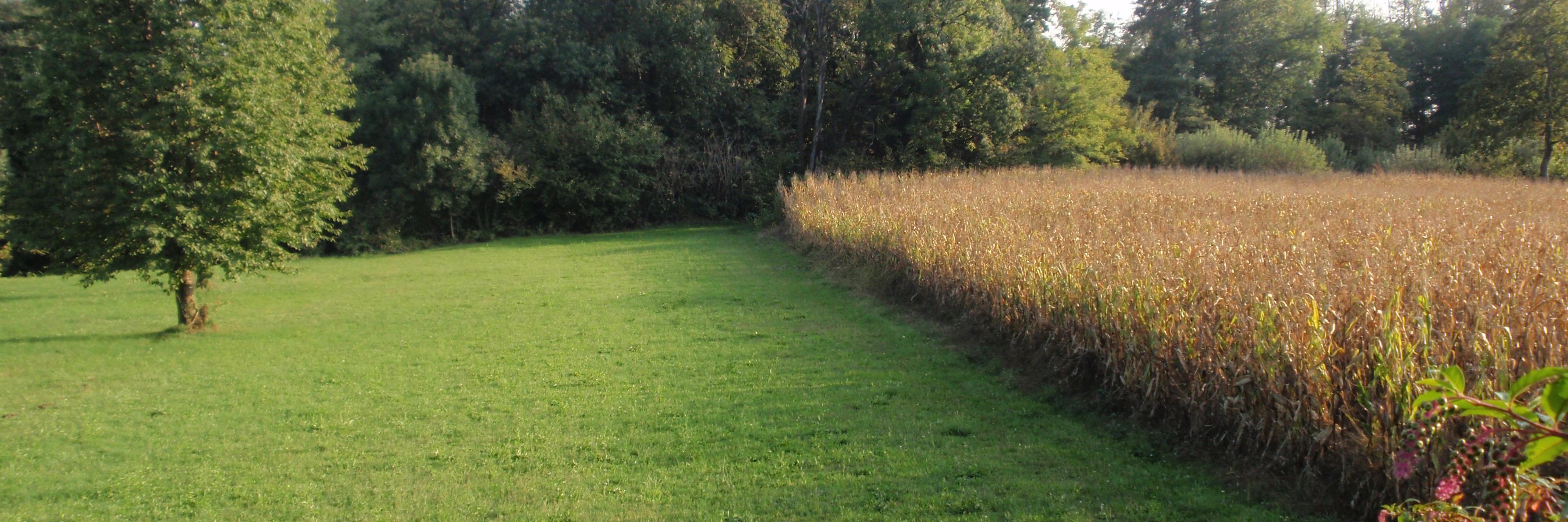 STICS Crop Model banner