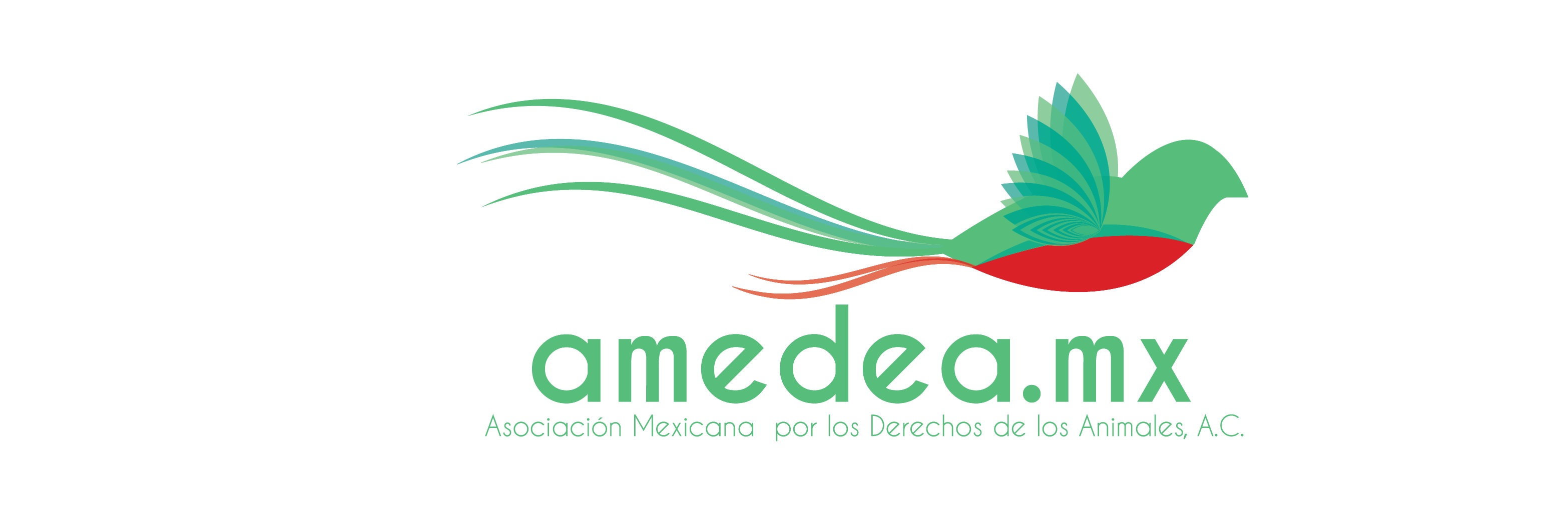 AMEDEA banner