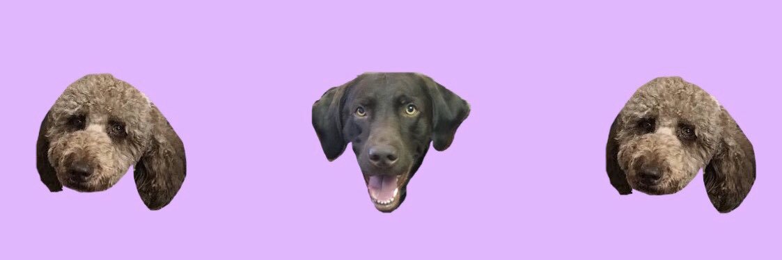 kfresssh's profile banner image