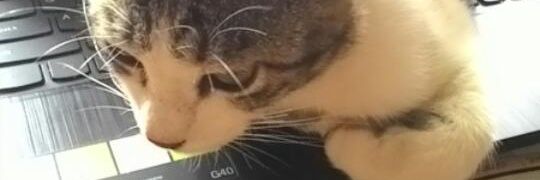 Mohaka_94's profile banner image