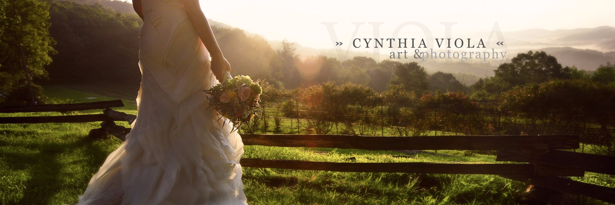 Cynthia Viola banner