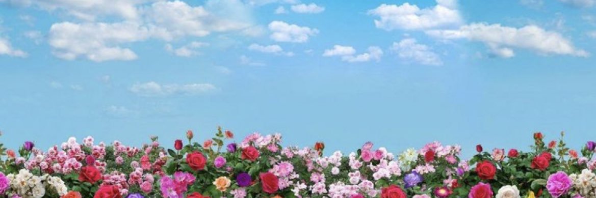 24Quin's profile banner image