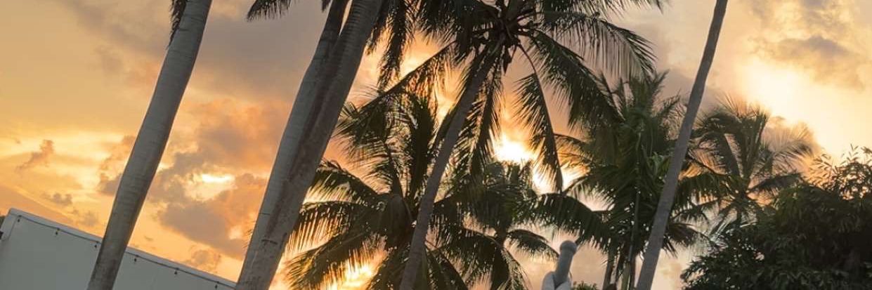 LamentedEdition's profile banner image