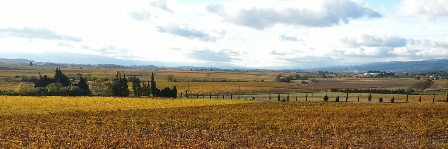 ajkovera's profile banner image
