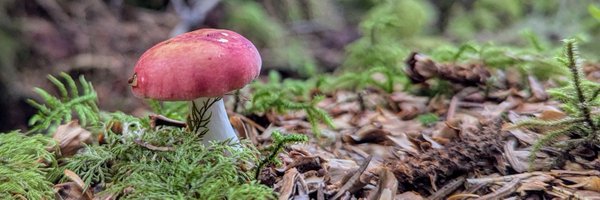 emedtox Profile Banner