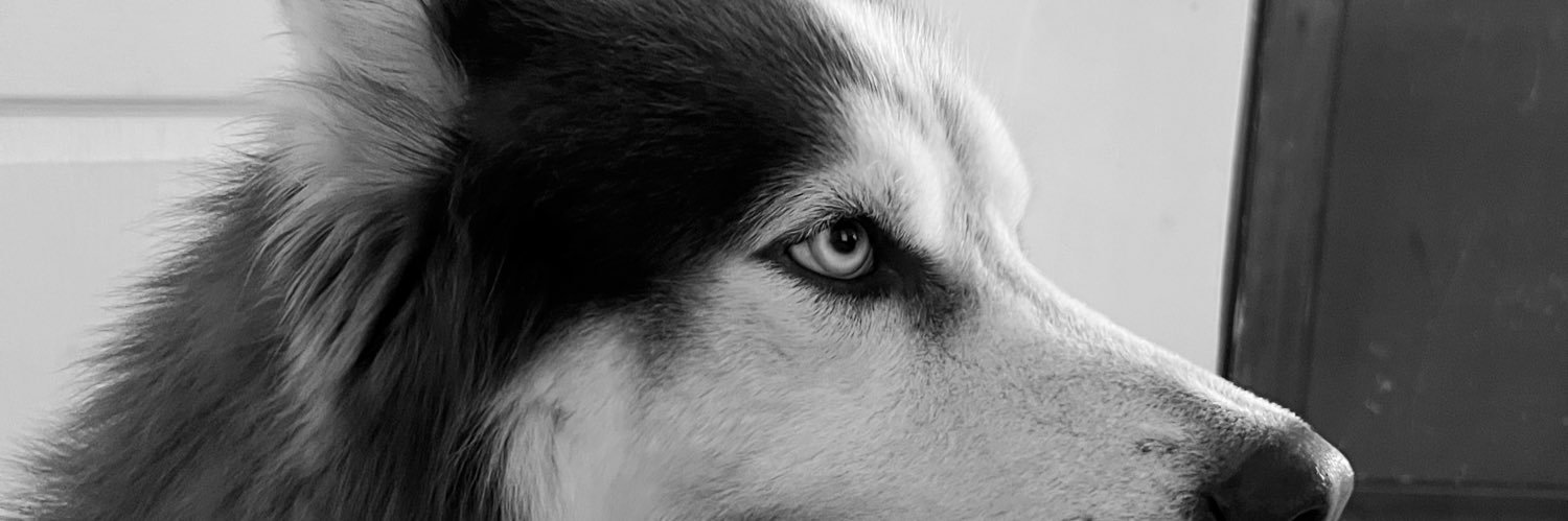 Laumfp's profile banner image