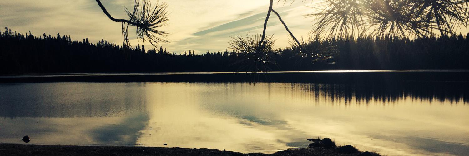 EvanWalter1's profile banner image