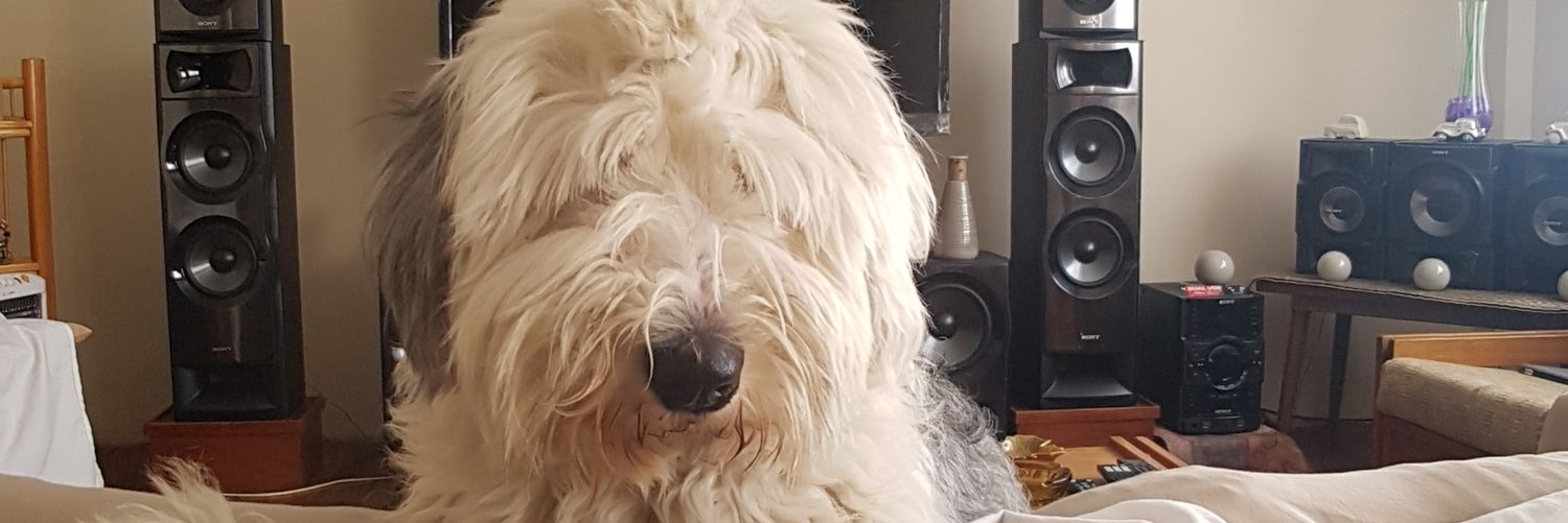 RaisaCusi's profile banner image