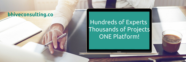 bhiveConsulting Profile Banner