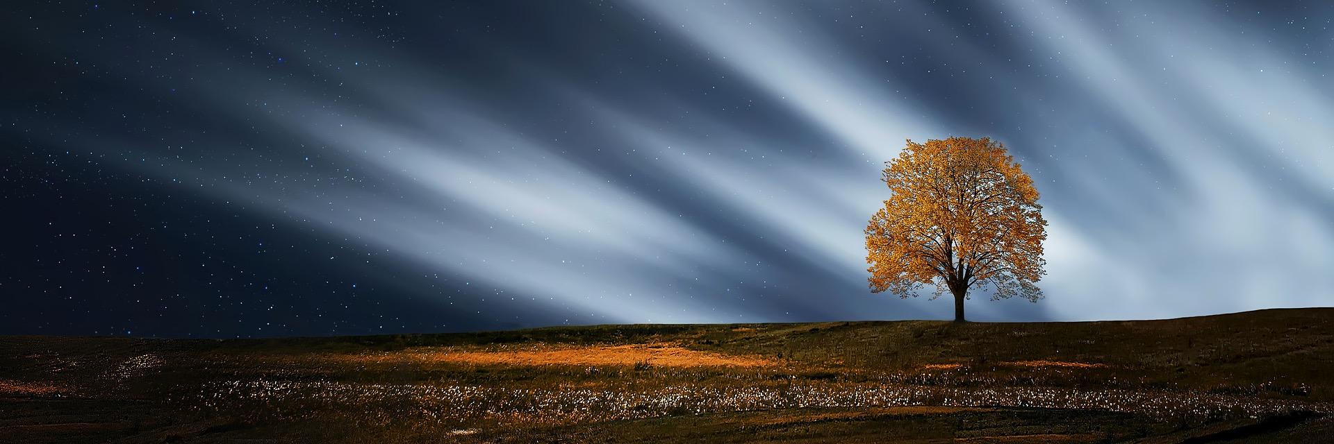 RepublicRanch's profile banner image