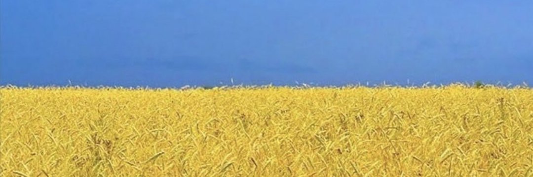 raferog's profile banner image