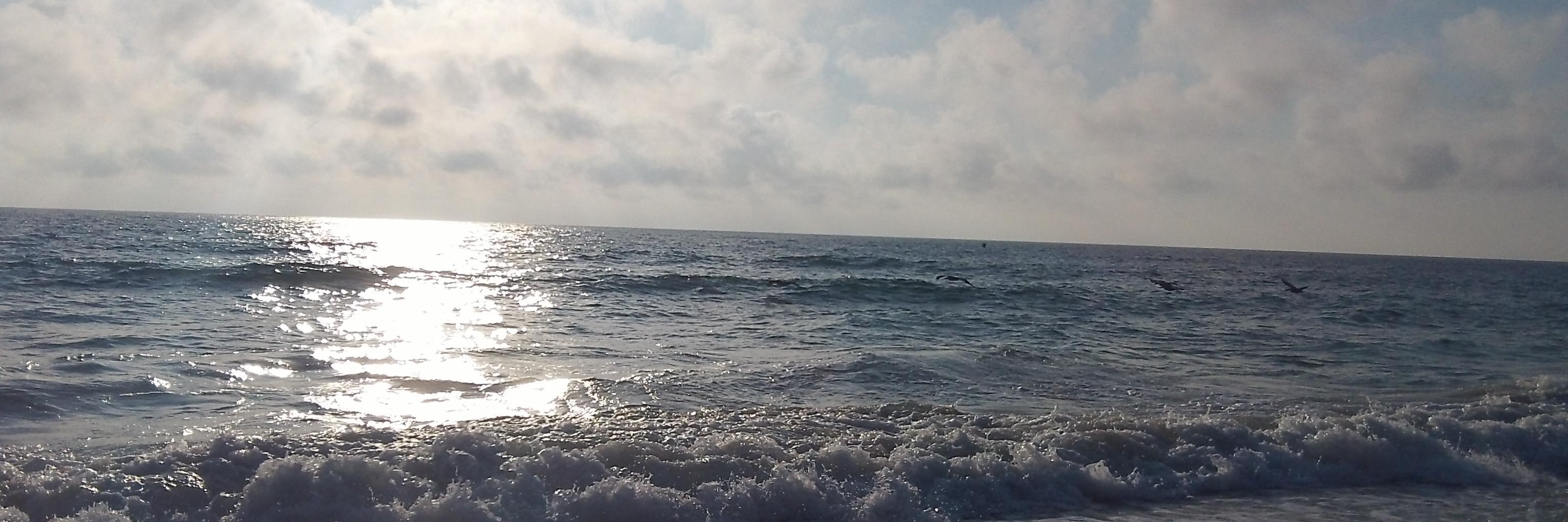simplicity_in's profile banner image